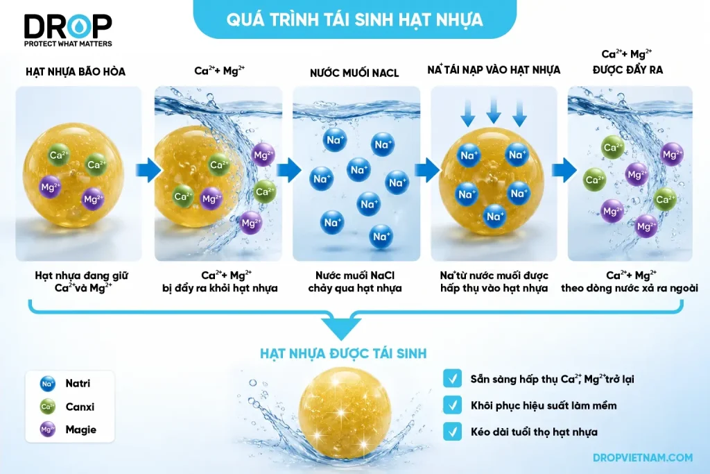 Quy trình tái sinh hạt nhựa làm mềm nước