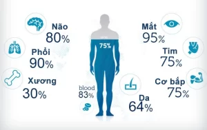 Lợi ích tuyệt vời của việc uống đủ nước