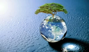 25 cách tiết kiệm nước