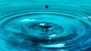 hấp phụ carbon là gì?