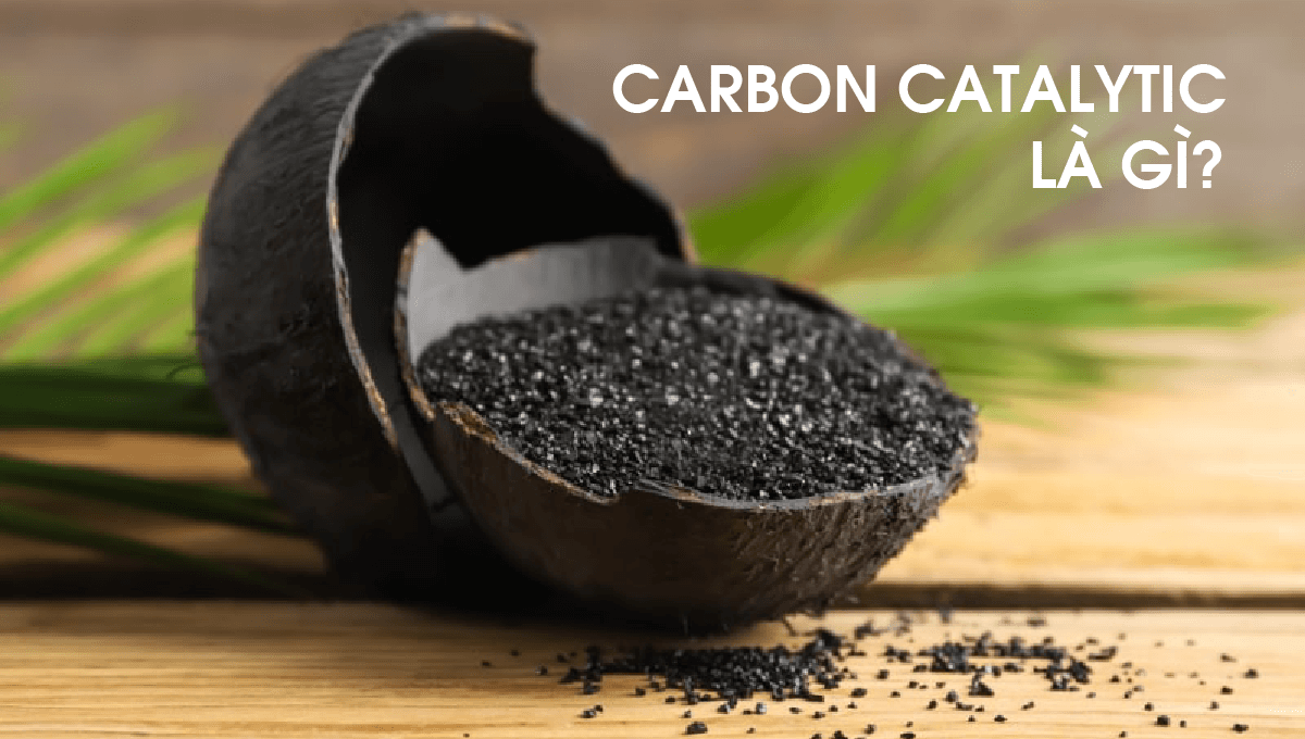 carbon catalytic là gì?