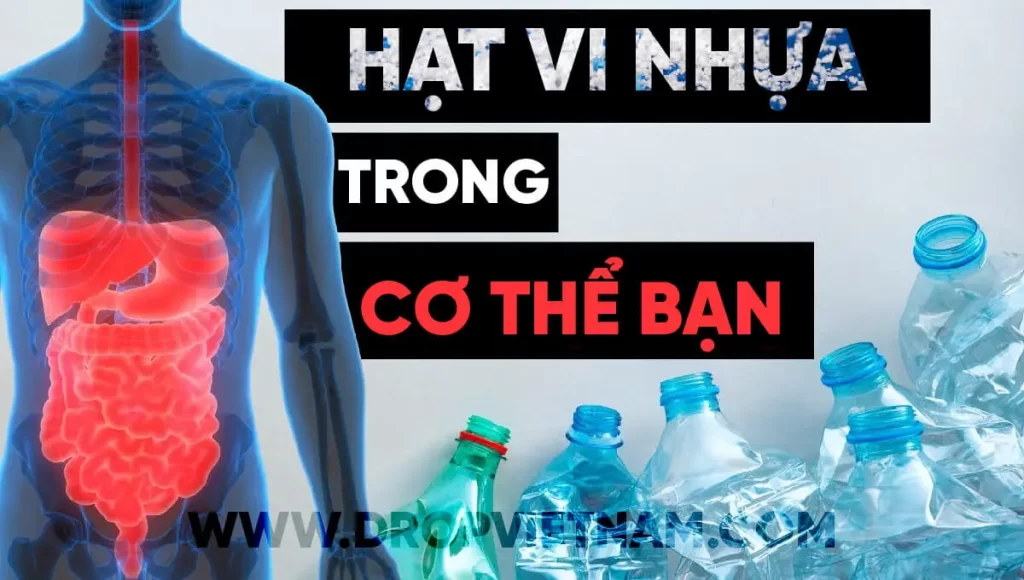 Vi nhựa được tìm thấy trong cơ thể của chúng taa