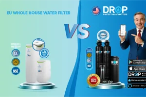 So sánh lọc tổng Mỹ và lọc tổng Châu Âu